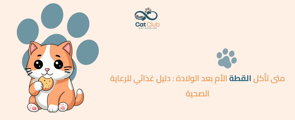 متى تأكل القطة الأم بعد الولادة: دليل غذائي للرعاية الصحية