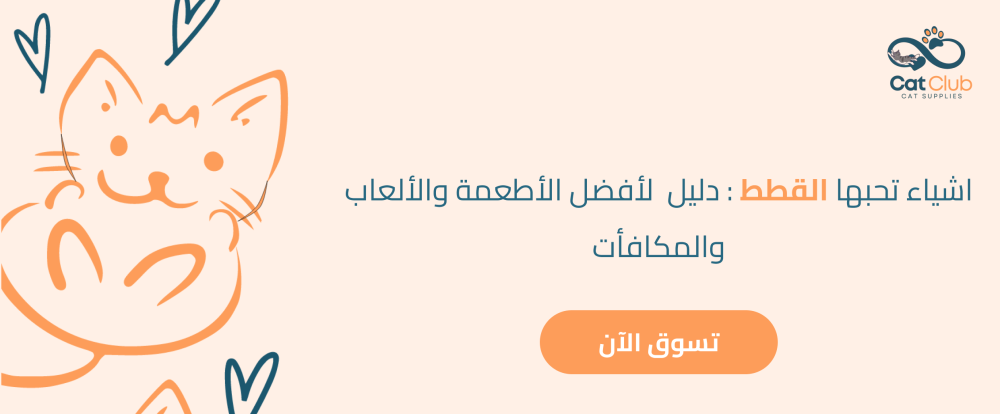 اشياء تحبها القطط : دليل  لأفضل الأطعمة والألعاب والمكافأت