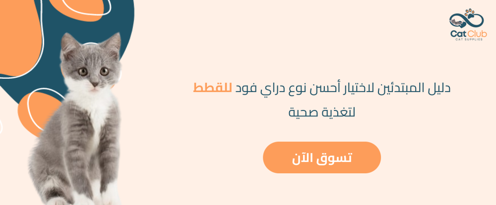 دليل المبتدئين لاختيار أحسن نوع دراي فود للقطط لتغذية صحية
