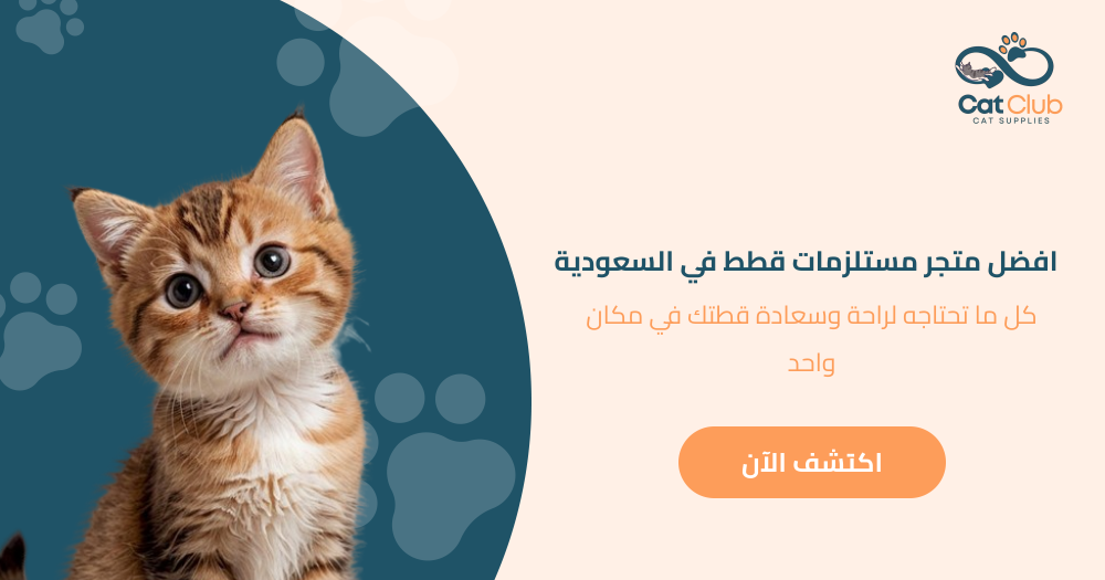 افضل متجر مستلزمات قطط في السعودية - كل ما تحتاجه لراحة وسعادة قطتك في مكان واحد