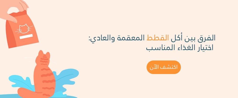 الفرق بين اكل القطط المعقمة والعادي: اختيار الغذاء المناسب