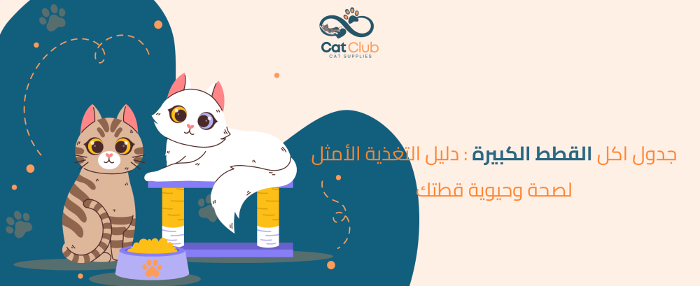 جدول اكل القطط الكبيرة: دليل التغذية الأمثل لصحة وحيوية قطتك جدول اكل القطط الكبيرة: دليل التغذية الأمثل لصحة وحيوية قطتك