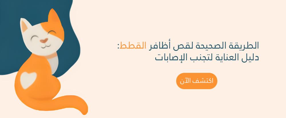 الطريقة الصحيحة لقص اظافر القطط: دليل العناية لتجنب الإصابات