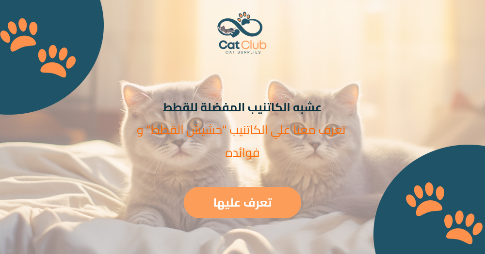 عشبه الكاتنيب المفضلة للقطط
