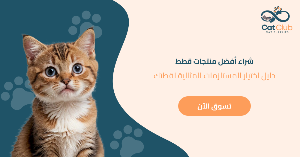 شراء أفضل منتجات قطط - دليل اختيار المستلزمات المثالية لقطتك