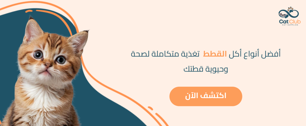 أفضل أنواع أكل القطط | تغذية متكاملة لصحة وحيوية قطتك