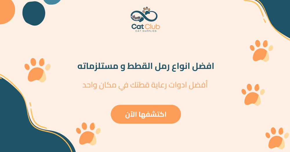 افضل انواع رمل القطط و مستلزماته - أفضل ادوات رعاية قطتك في مكان واحد