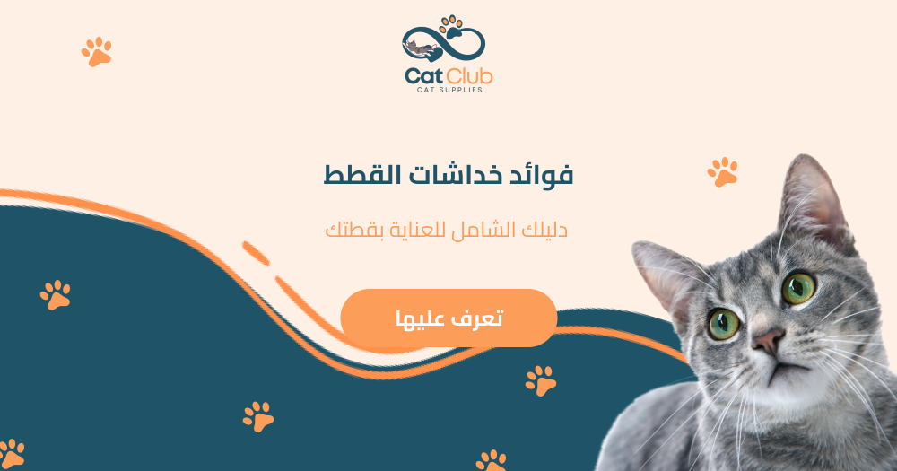 فوائد خداشات القطط - دليلك الشامل للعناية بقطتك