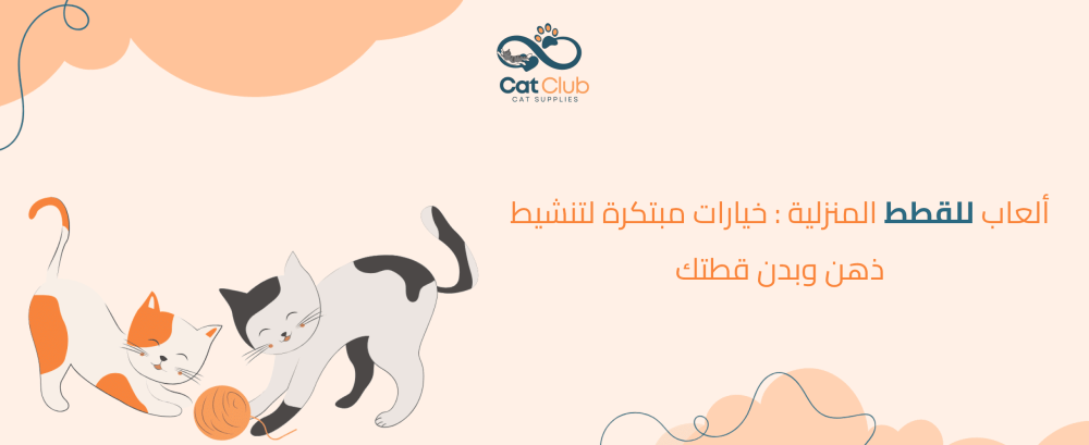 ألعاب للقطط المنزلية: خيارات مبتكرة لتنشيط ذهن وبدن قطتك