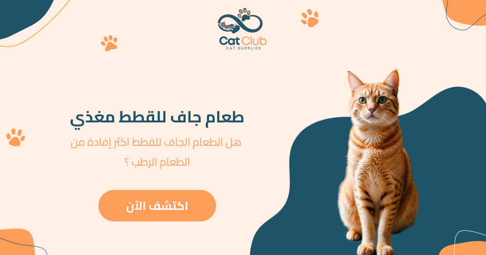 طعام جاف للقطط مغذي - هل الطعام الجاف للقطط اكثر إفادة من الطعام الرطب؟