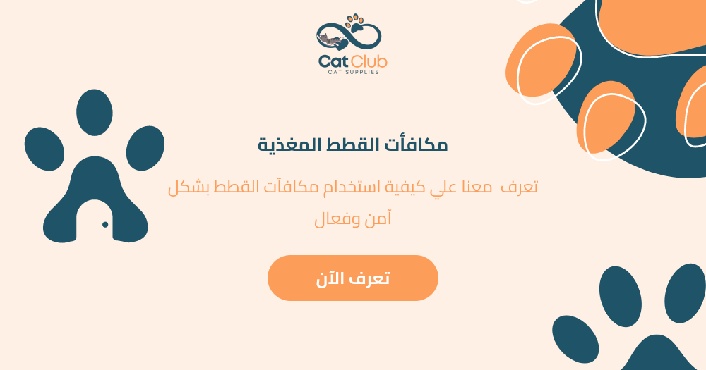 مكافأت القطط المغذية - تعرف معنا على كيفية استخدام مكافآت القطط بشكل آمن وفعال