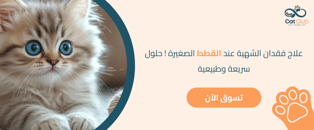 علاج فقدان الشهية عند القطط الصغيرة! حلول سريعة وطبيعية