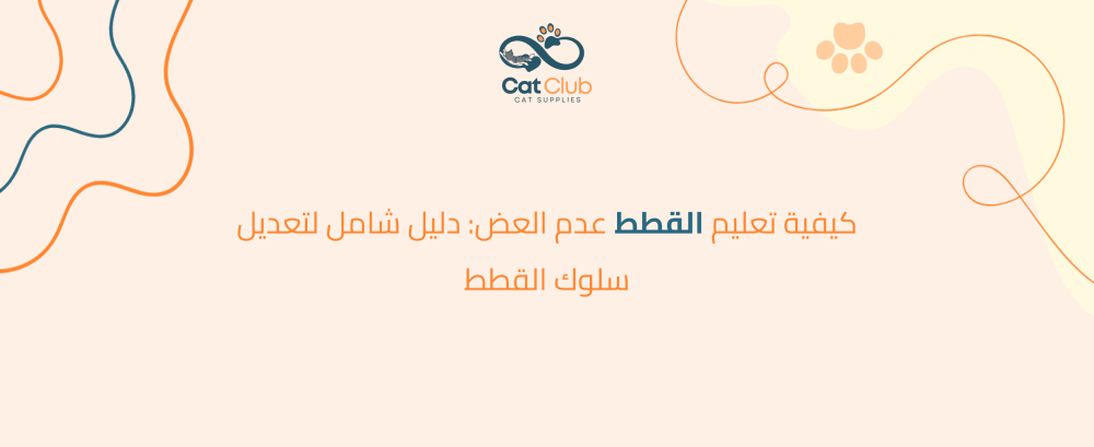 كيفية تعليم القطط عدم العض: دليل شامل لتعديل سلوك القطط