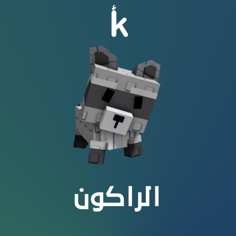 راكون - Raccoon