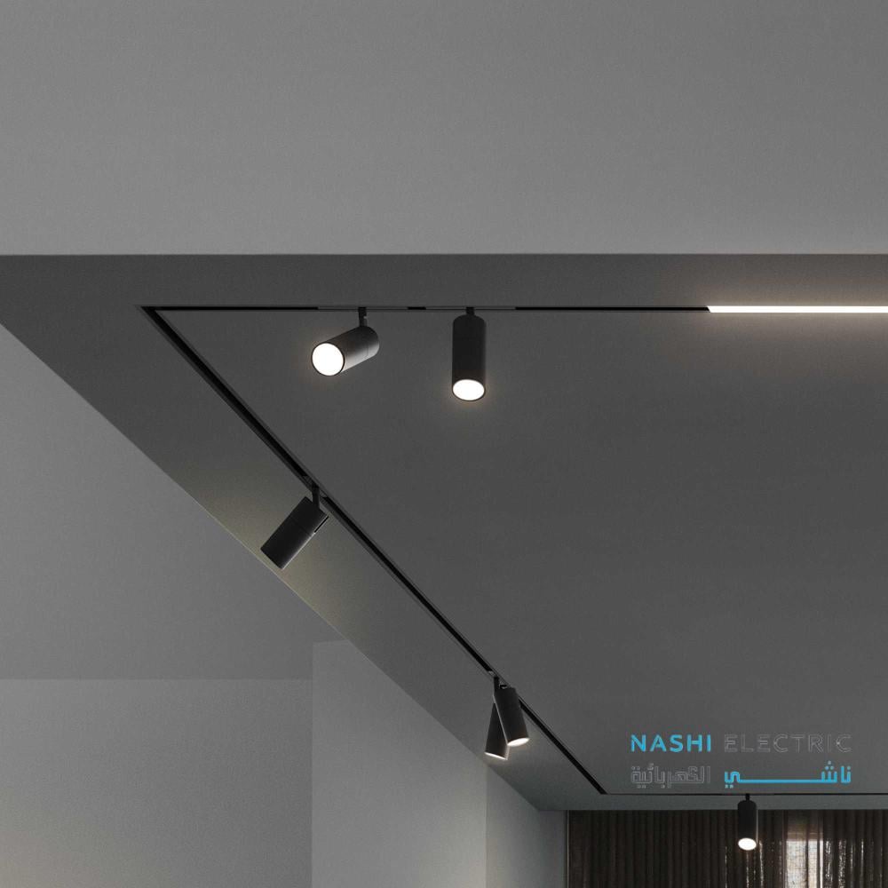 كشاف مسار مغناطيسي 30 وات