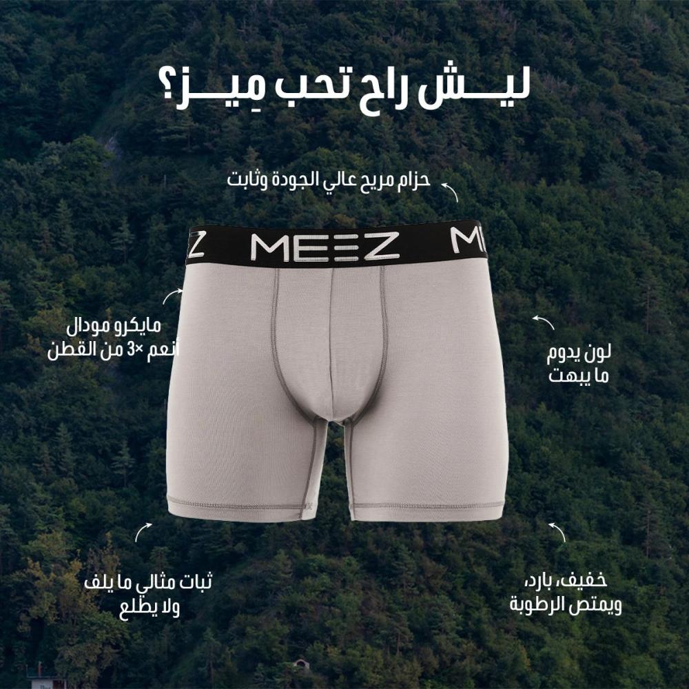 بوكسر رمادي