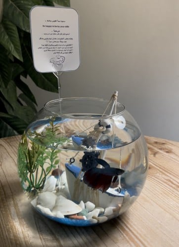 حوض مع سمك فايتر