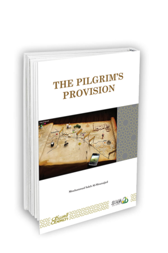 THE PILGRIM'S PROVISION