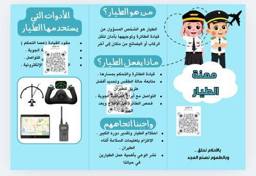 مهنة الطيار
