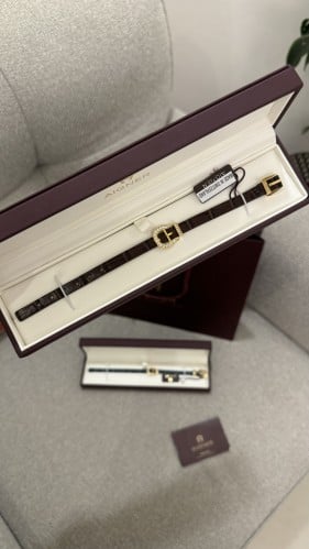 اسواره بني aigner