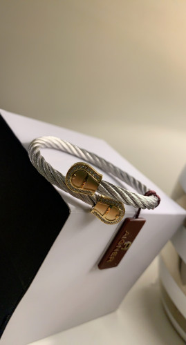 اسوارة Aigner - بدون ملحقات