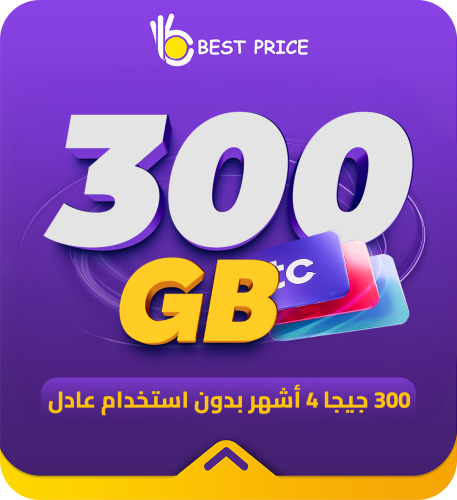 300 جيجا 4 شهور بدون استخدام عادل
