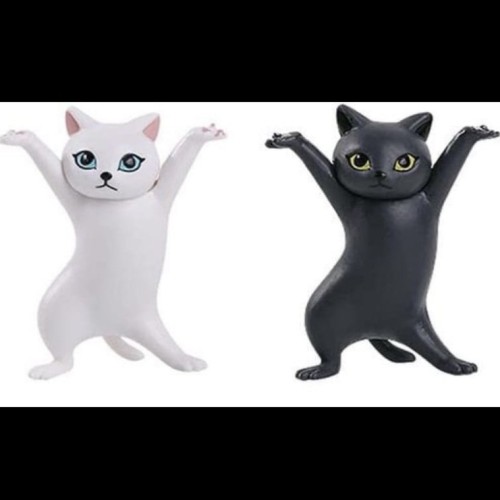 cute cats