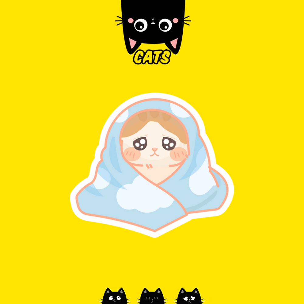 CUTE CAT | القطط الطريفة