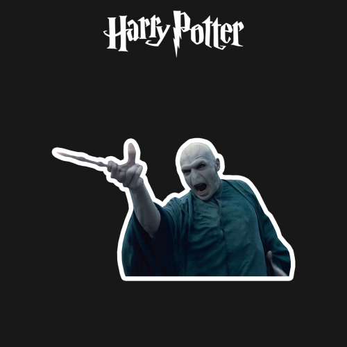 HARRY POTTER |