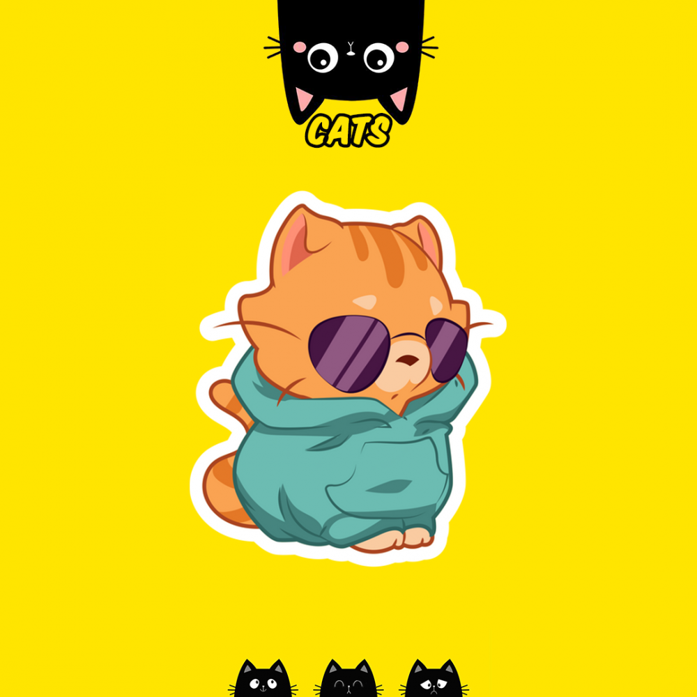 CUTE CAT | القطط الطريفة
