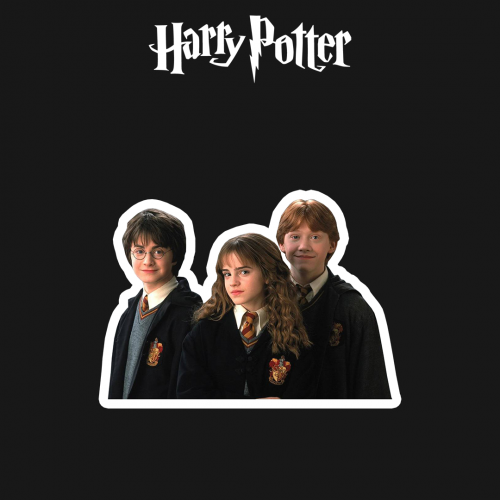 HARRY POTTER | هاري و هيرموني و رون