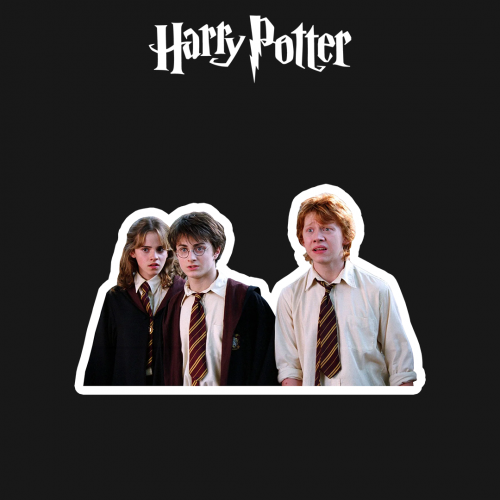 HARRY POTTER | هاري و هيرموني و رون
