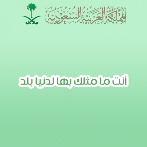 المملكة العربية السعودية
