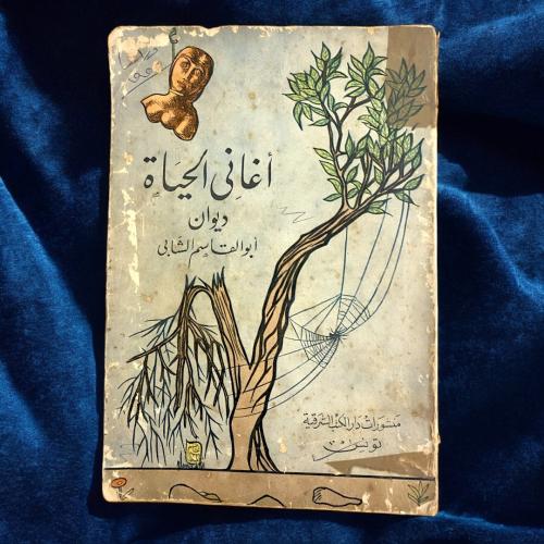 ديوان أغاني الحياة أبو القاسم الشابي.