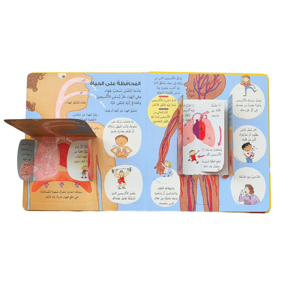 انظر داخل جسمك