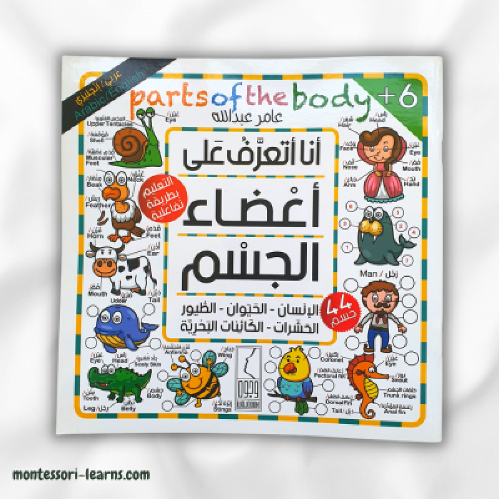 أنا أتعرف على أعضاء الجسم