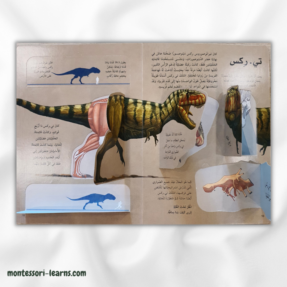 اكتشف عالم الدينوصورات