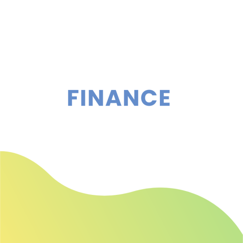 Finance CV