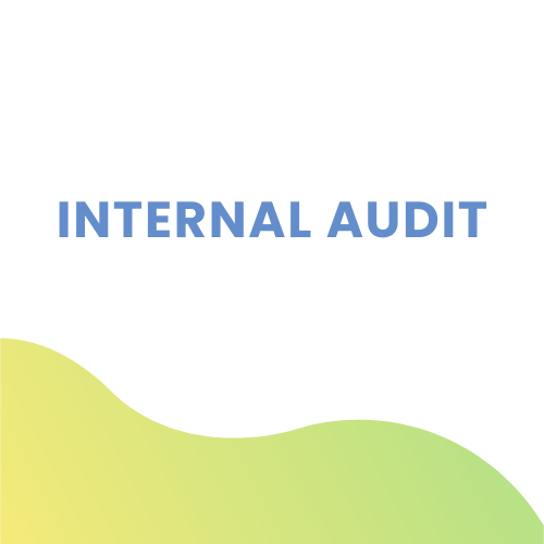 Internal Audit