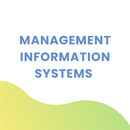 Management Information Systems CV