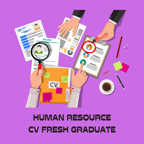Human Resource CV fresh graduate