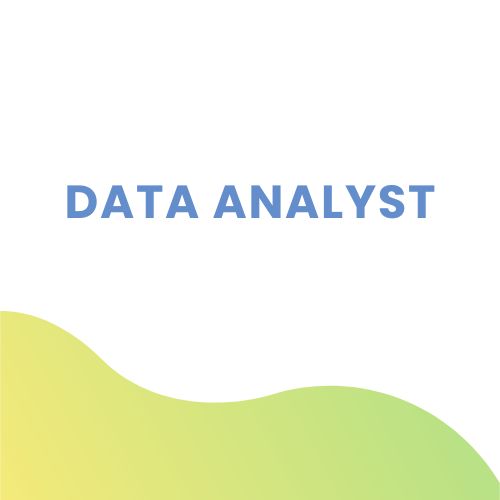 Data Analyst