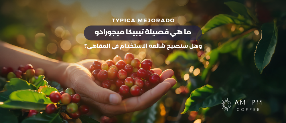ما هي فصيلة تيبيكا ميجورادو Typica Mejorado وهل ستصبح شائعة الاستخدام في المقاهي؟