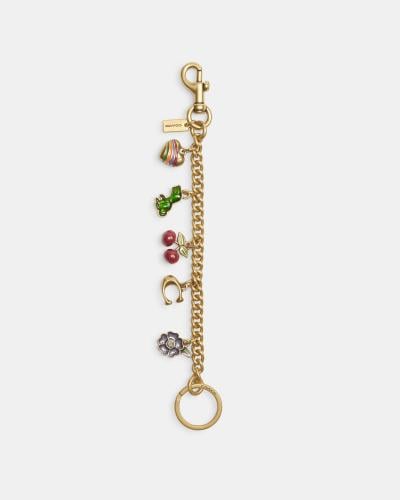 Coach charm