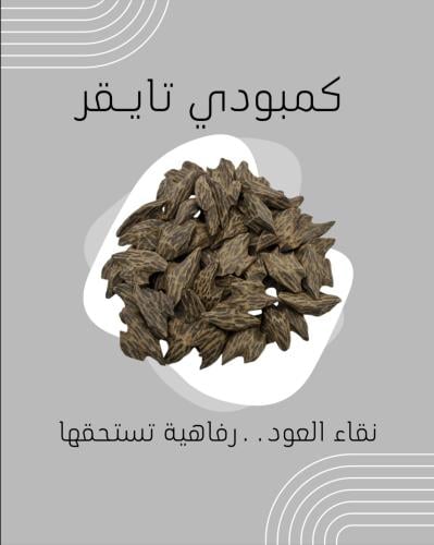 كمبودي تايقر