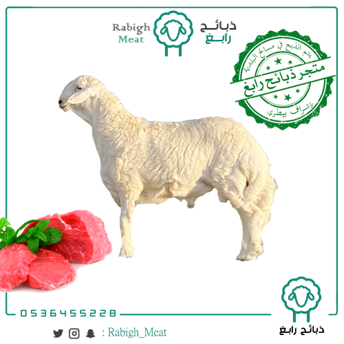 أضحية حري جذع - صغير