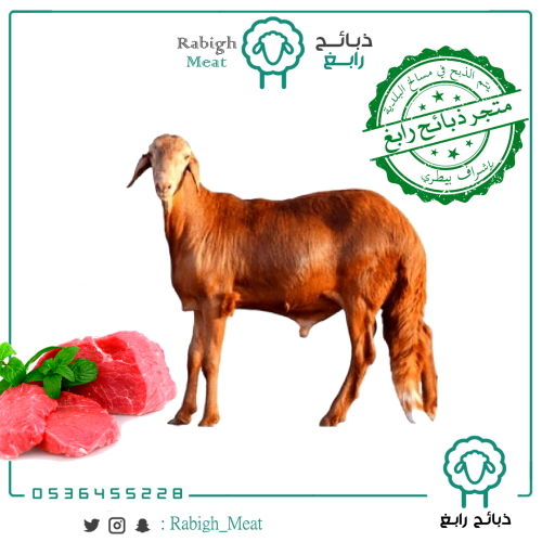 أضحية سواكني جذع