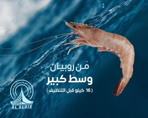 مَن روبيان ( وسط كبير )