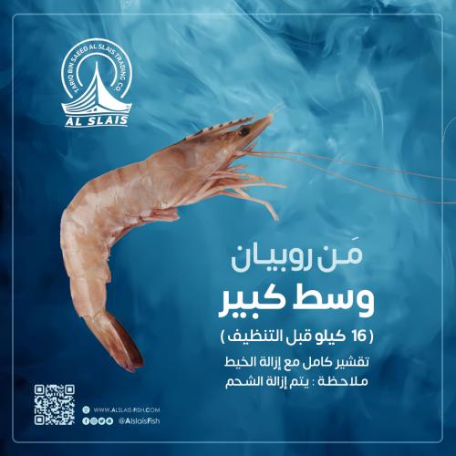 مَن روبيان ( وسط كبير )