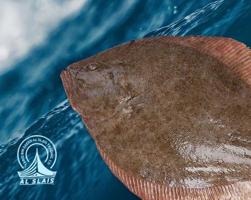 موسى ( عماني )